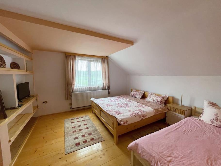 Hotel Casa La Doi Nuci Bradet  Exteriér fotografie