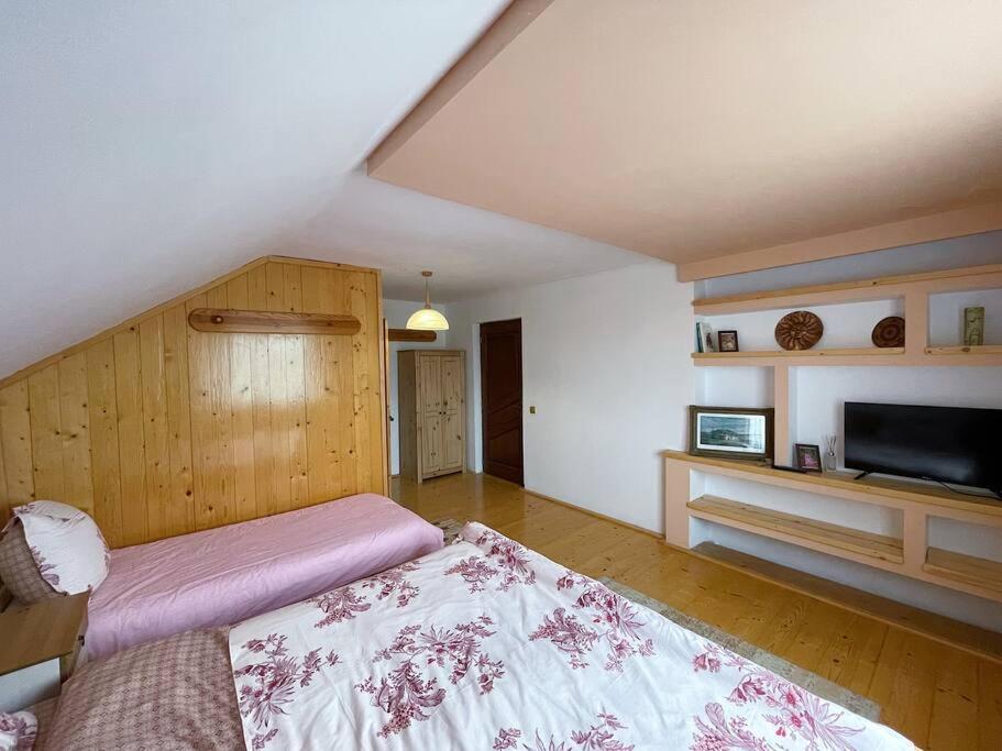 Hotel Casa La Doi Nuci Bradet  Exteriér fotografie