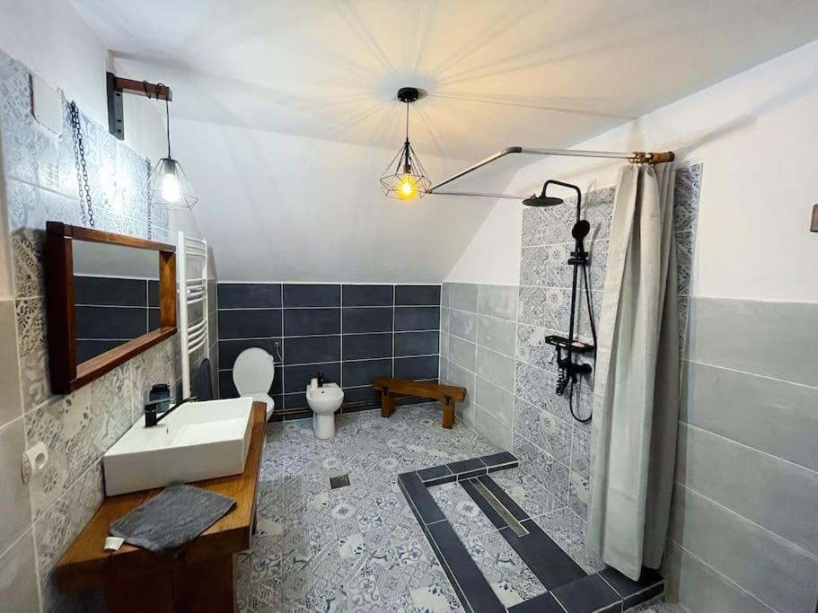 Hotel Casa La Doi Nuci Bradet  Exteriér fotografie